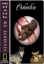 National Geographic. Жизнь до рождения (Собаки) — In The Womb Dogs (2009)