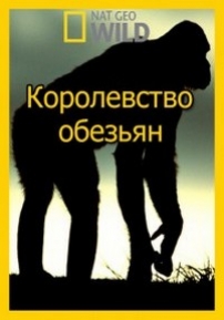 National Geographic. Королевство обезьян — Wild Kingdom Of The Apes (2014)