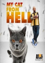 Адская кошка (Кот из ада) — My Cat from Hell (2011-2013) 1,2,3,4 сезоны