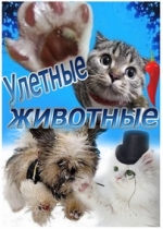 Улетные животные — Uletnye zhivotnye (2012-2013)