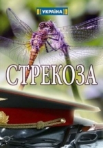 Стрекоза — Strekoza (2018)